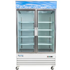 2 Section Glass Door Merchandising Freezers