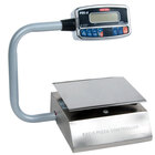 Tor Rey Pizza Scales