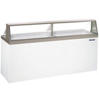Master-Bilt Ice Cream Dipping Cabinets