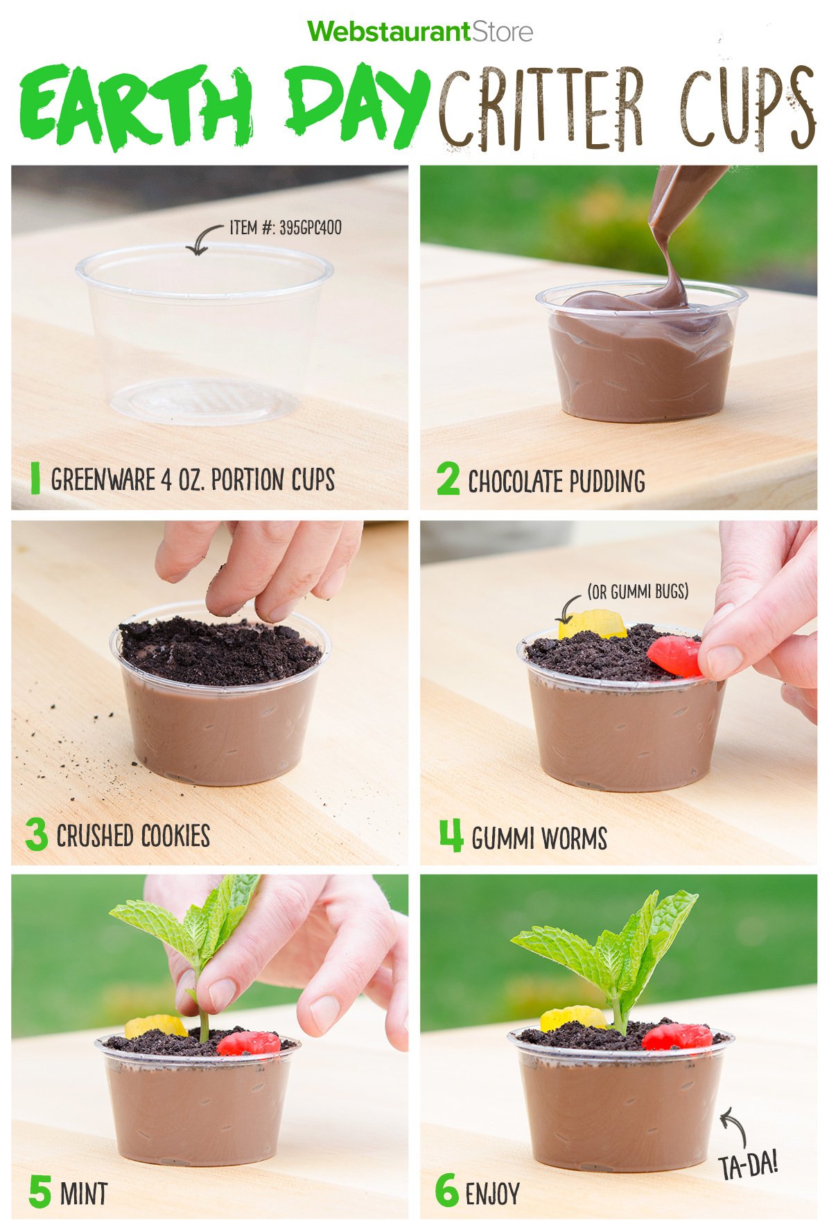 Critter Cup Steps